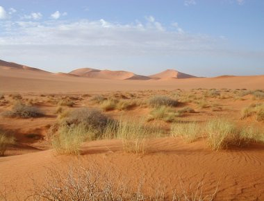 Νιγηρία: Τουλάχιστον 44 μετανάστες πέθαναν από την δίψα στην έρημο